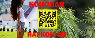 spice Балашиха