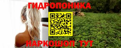 прущие крисы Беслан